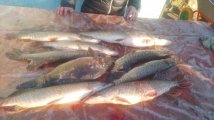 IMG-20250323-WA0040.jpg