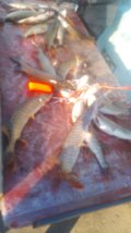 IMG-20250323-WA0044.jpg