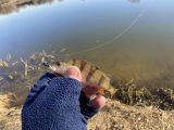 IMG_3339.jpeg