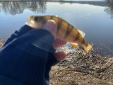 IMG_3342.jpeg