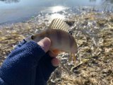 IMG_3344.jpeg