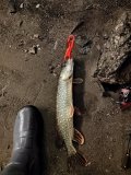IMG_20250322_225650.jpg