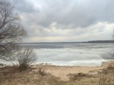 IMG_20250324_144456.jpg