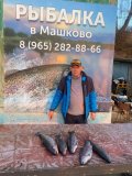 IMG-20250324-WA0055.jpg