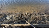 IMG_0048.jpeg