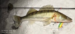 IMG_20230210_230124.jpg