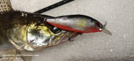 IMG_20240316_021705.jpg
