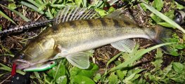 IMG_20230615_023715.jpg