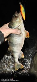 IMG_20241129_233055.jpg