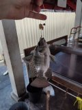 IMG_20250326_002055.jpg