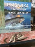IMG-20250326-WA0035.jpg