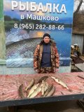 IMG-20250326-WA0039.jpg