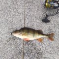 IMG_20250326_102520.jpg