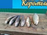 Изображение хрюхрюp 2025-03-26 в 20.55.07_3e62a5a7.jpg