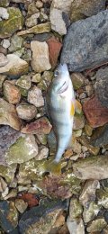 IMG_20250327_095136.jpg