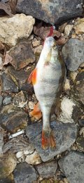 IMG_20250327_103302.jpg