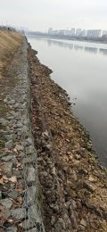 IMG_20250327_115449.jpg