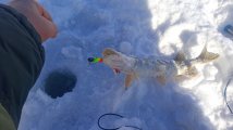 IMG-20250327-WA0004.jpeg