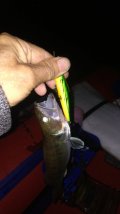 IMG-20240914-WA0003.jpeg