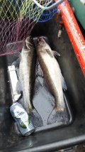 IMG-20210721-WA0015.jpeg