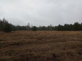 IMG_20250328_092901.jpg