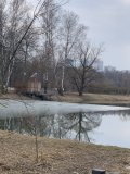 IMG_6769.jpeg
