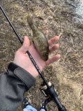 IMG_6760.jpeg