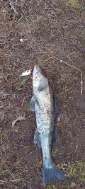 IMG-20250328-WA0128.jpg
