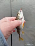 IMG_20250328_135930.jpg