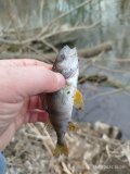 IMG_20250328_150841.jpg