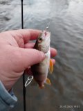 IMG_20250328_190133.jpg