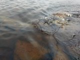 IMG_20250327_094336_800.jpg
