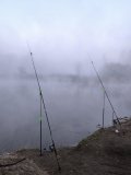 IMG_20250329_060936.jpg