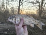 IMG_20250329_070341.jpg