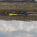 IMG_4260.jpeg