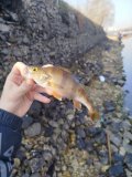 IMG_20250329_095452.jpg
