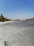 IMG_20250329_101638.jpg