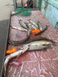IMG-20250329-WA0052.jpg