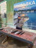 IMG-20250329-WA0080.jpg