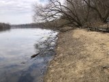 IMG_1987.jpeg