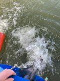 55aad6ca-d1e2-4d75-8403-7cb5f2ec8c08.jpeg