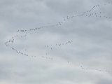 20250329_171606.jpg