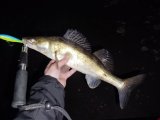 IMG_20250329_215544.jpg