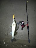 IMG_20250329_211637.jpg