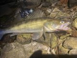IMG_5611.jpeg