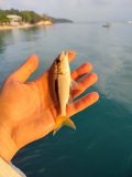 IMG_20250328_070436.jpg