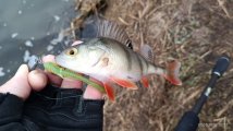 IMG_20250330_075135.jpg