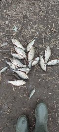 IMG_20250330_143804.jpg
