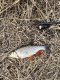 IMG_5816.jpeg