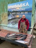 IMG-20250330-WA0149.jpg